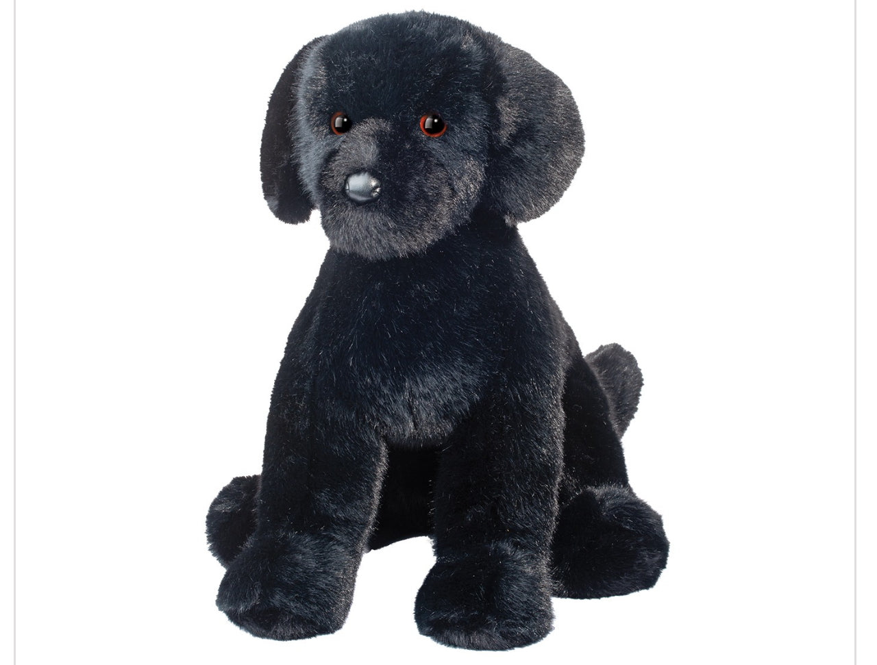 Spruce Black Lab