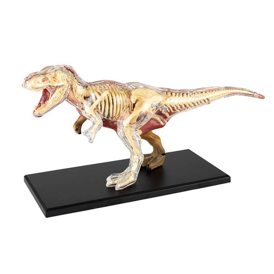 4D T-Rex Vision Model