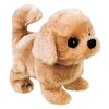 Redley the Walking Golden Retriever Dog
