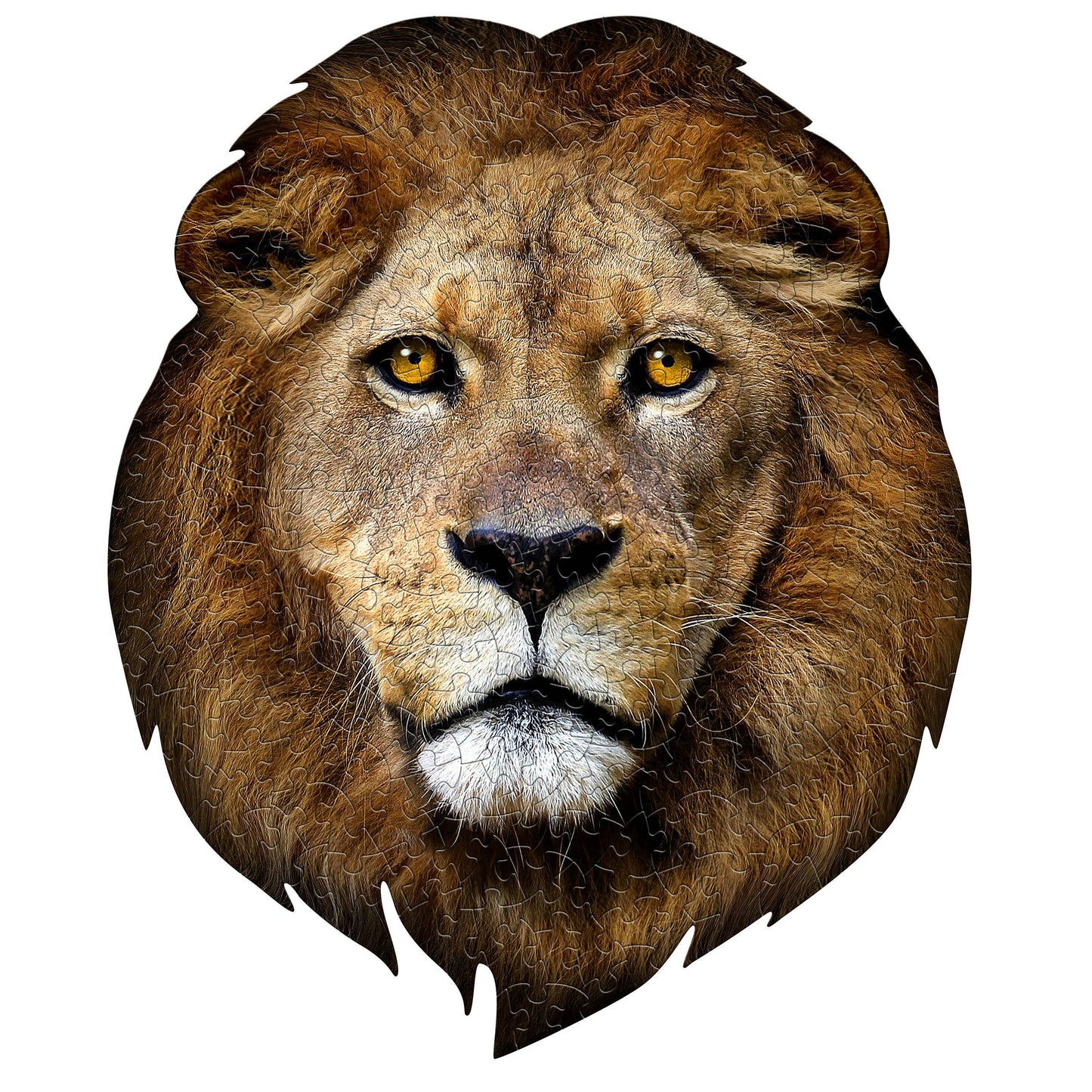 I AM Lion 300 piece jigsaw puzzle - gift