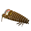 EUGY Brown Kiwi 3D Puzzle