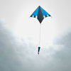 Cool Breeze 60" Delta