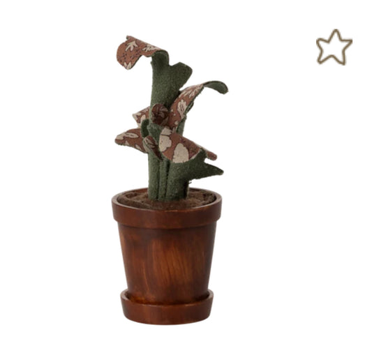 Flower pot with plant