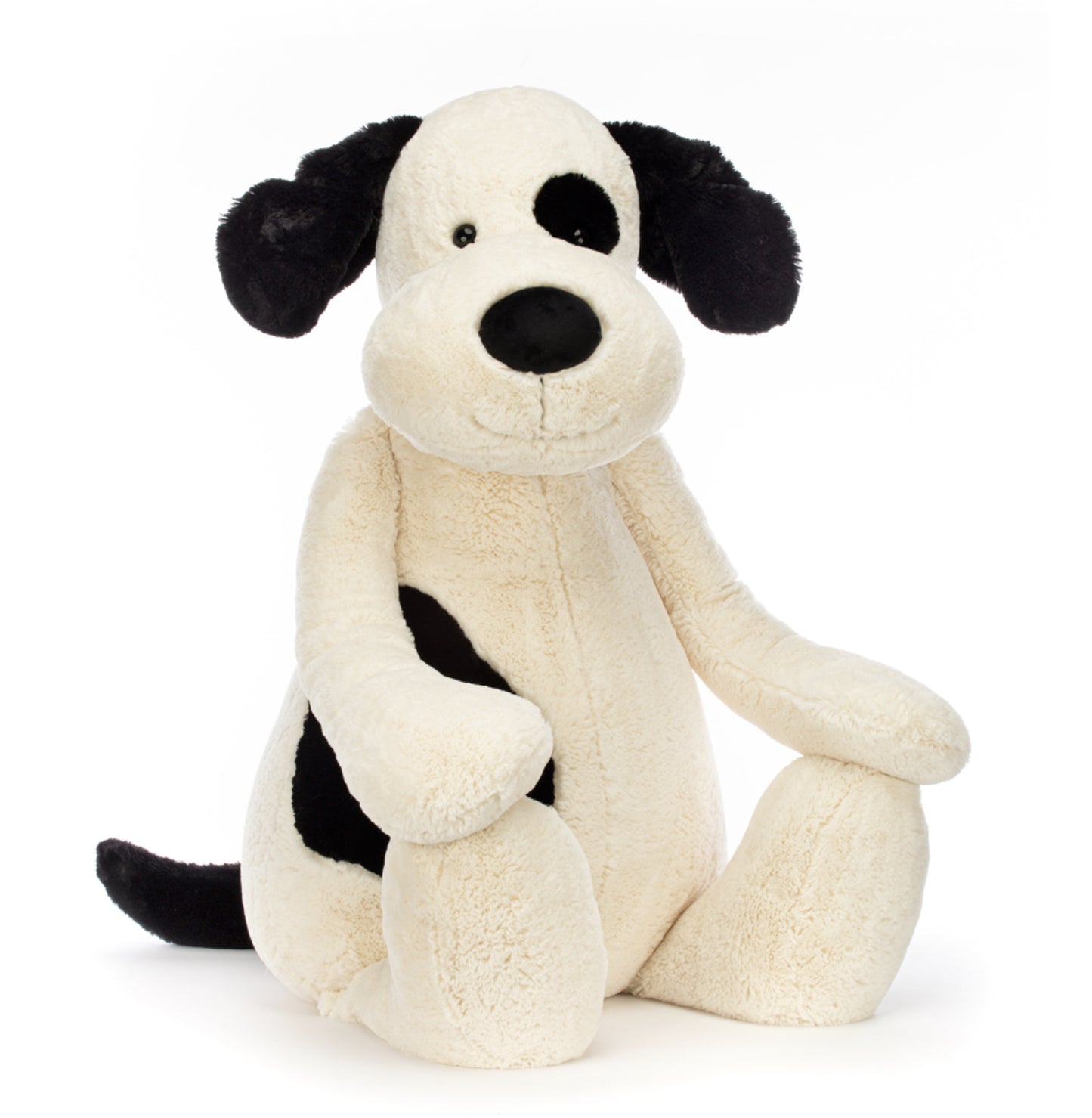 Bashful Black & Cream Puppy