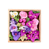 OKTO DIY Wood & Craft Flower Clay Kits: Flowers, Inspiration