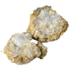 Smash N' Bash Geodes 12-unit case pack