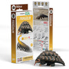 EUGY Pangolin 3D Puzzle