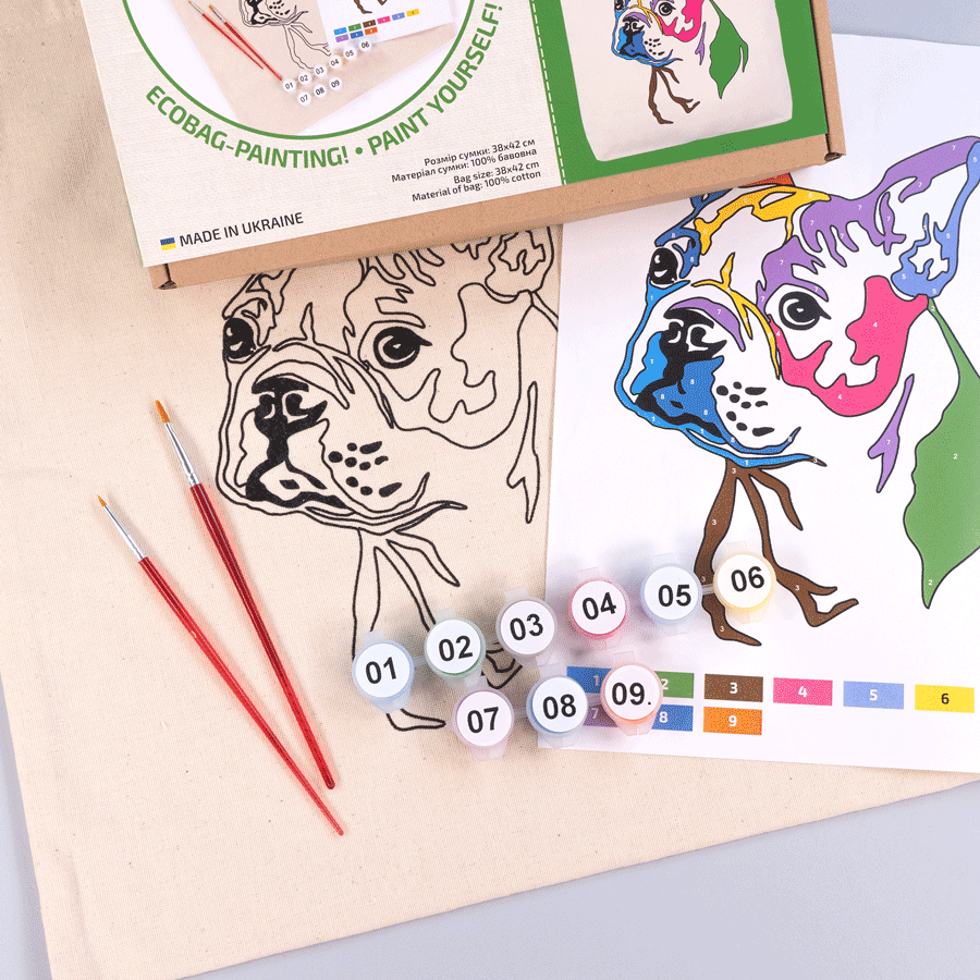 Eco-Friendly Cotton bag Coloring Kit – Bright Pug