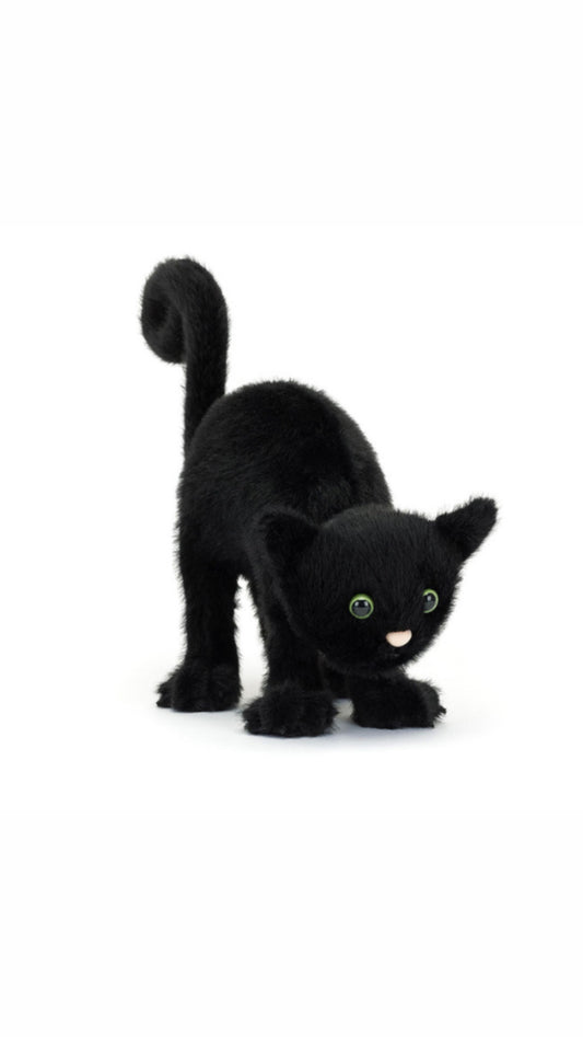 Spookipaws Cat