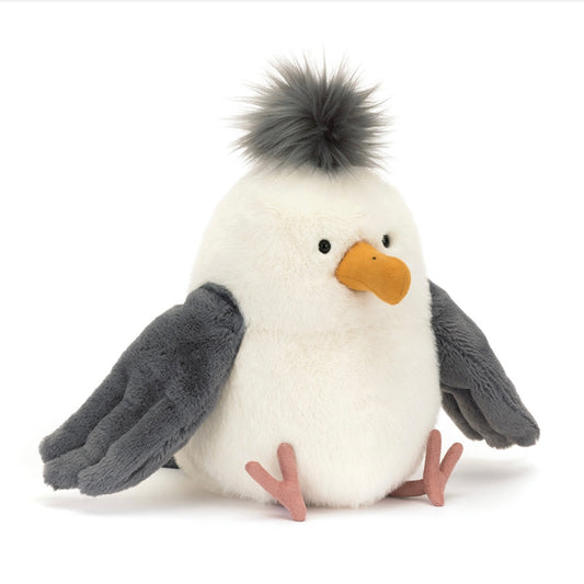Chip Seagull