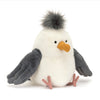Chip Seagull