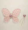 Fairy Set Blush Hearts