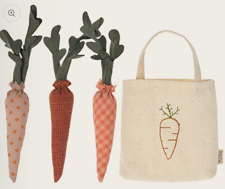 Garden Gift Set