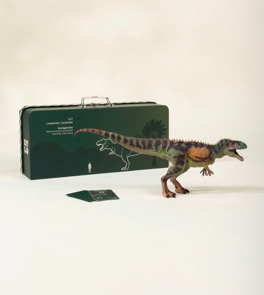 Tyrannosaurus Rex Dinosaur in a Collectible Box