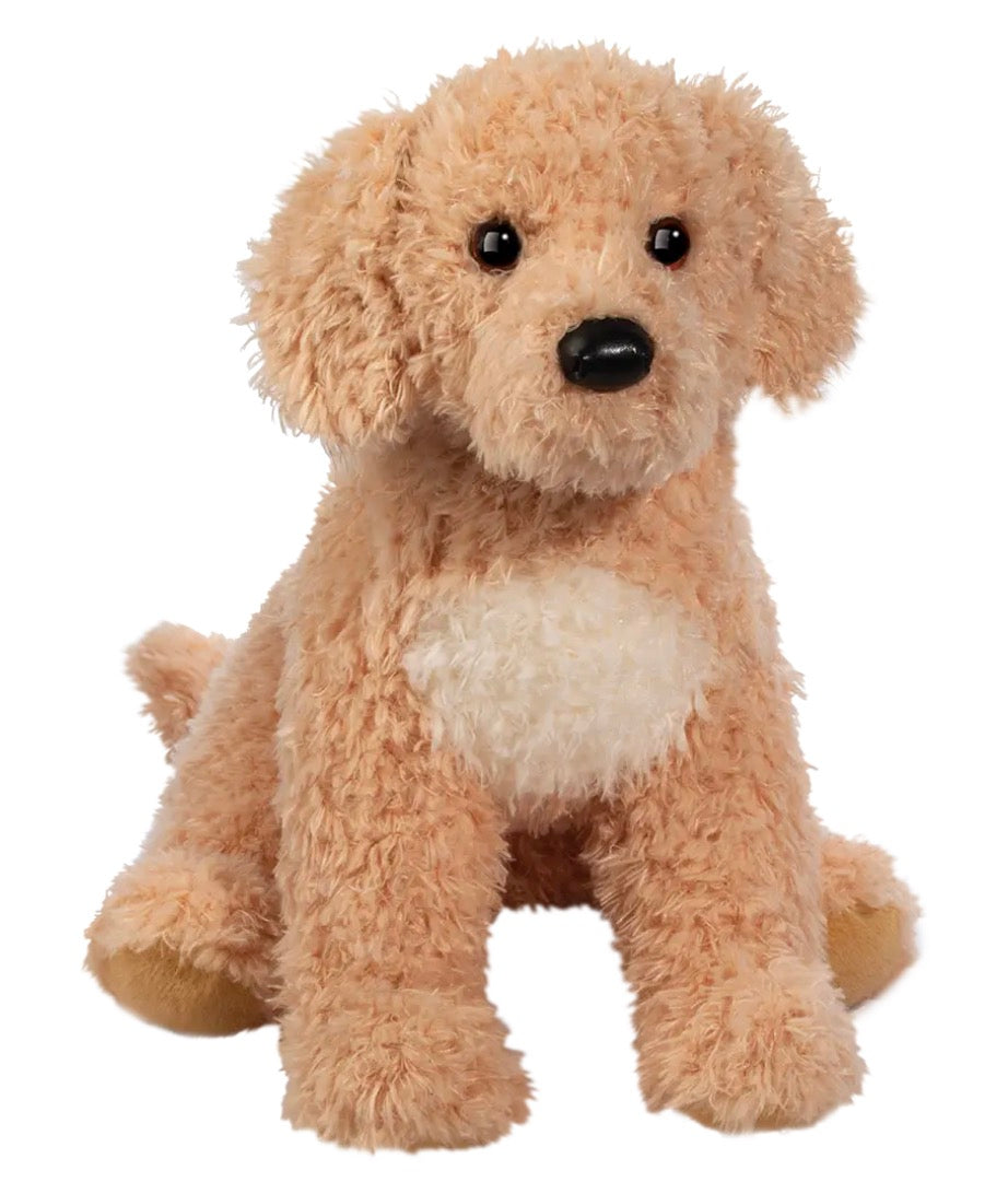 Noodle Goldendoodle