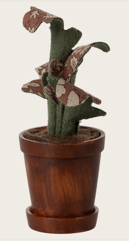 Garden Gift Set