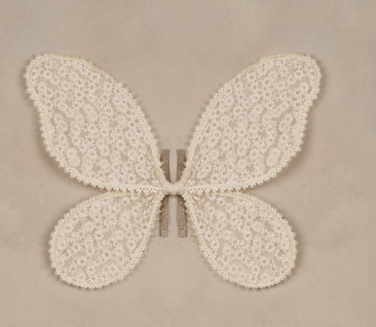 WINGS || DAISY EMBROIDERY