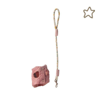 Pet supply, Harness and leash - Rose Puppy