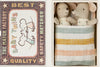 Twins, Baby mice in matchbox