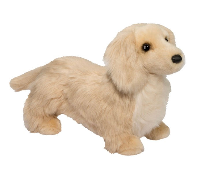 Haisley Golden Dachshund