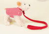 Eliot Small With Leash And Coat in a basket