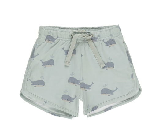 SWIM TRUNK Whales