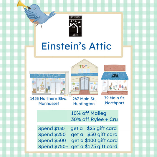 Einstein’s Attic Holiday Gift Card Giveaway