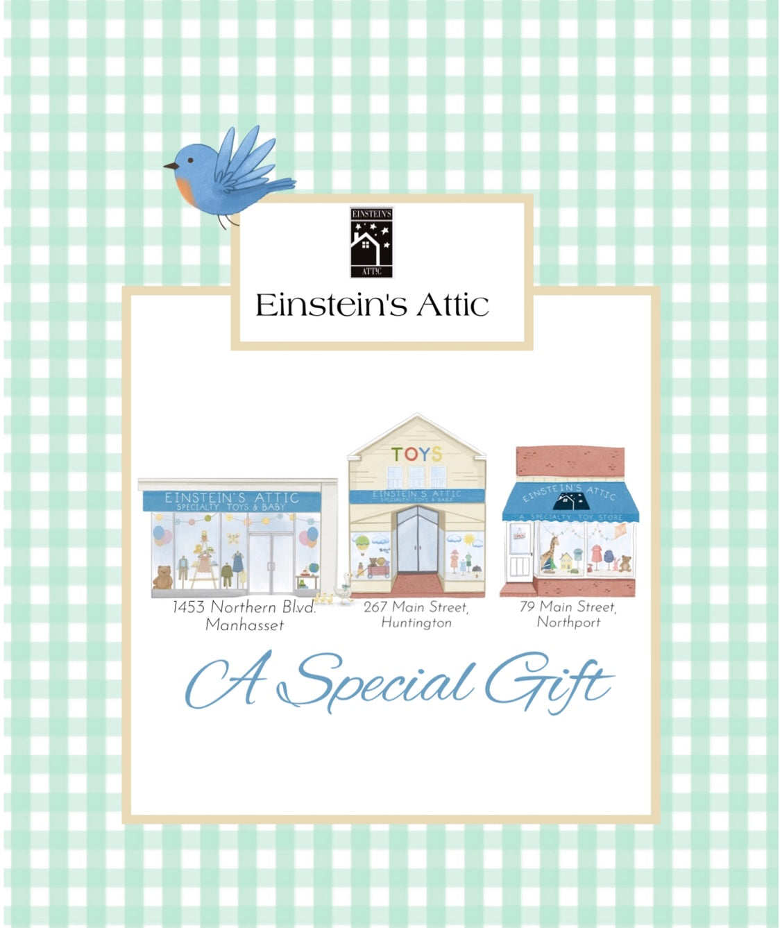 Einstein’s Attic Gift Card