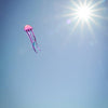 22" Jellyfish Dancing Dragon Kite
