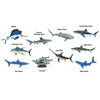 Pelagic Fish TOOB® - 100265