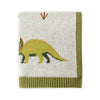 Green Dinosaur - OrganicJacquard Sweater Knit Baby Blanket