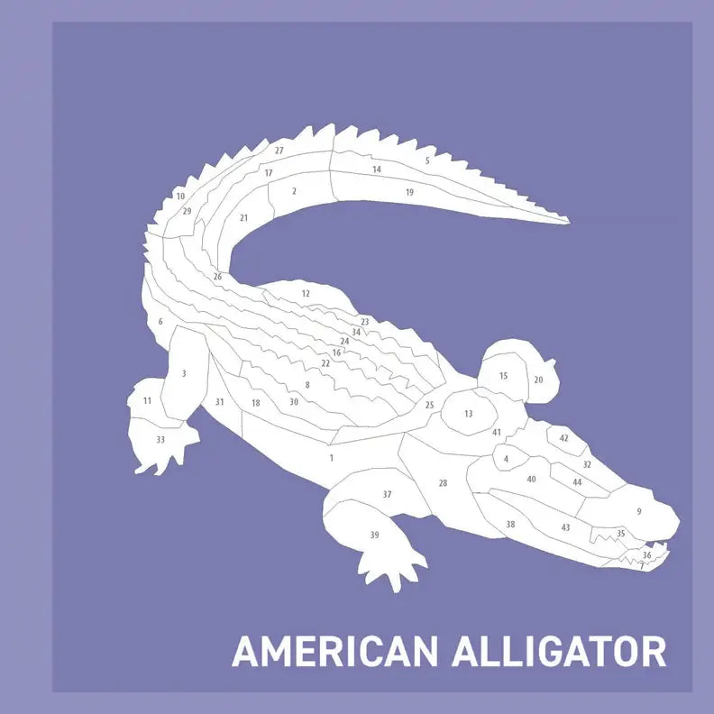 Activity Book - My Sticker Paintings: Reptiles