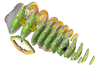 EUGY Chameleon 3D Puzzle