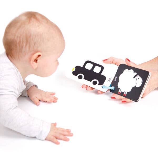 High Contrast Flash Cards on a Ring for newborn and baby 3m+