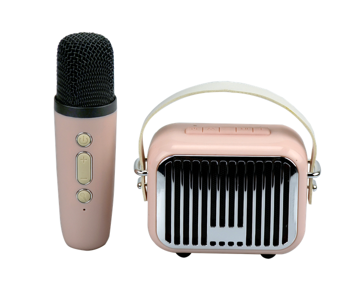 Pocket Karaoke-Microphone & Speaker Combo-Pink