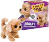 Redley the Walking Golden Retriever Dog