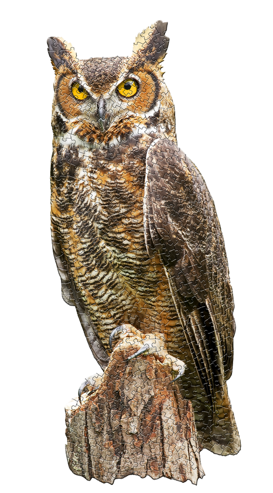 I AM GREAT HORNED OWL 300 piece jigsaw puzzle