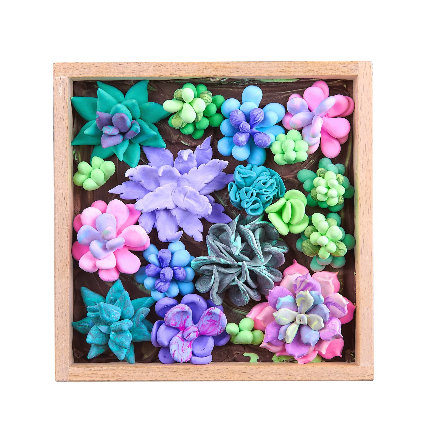 OKTO DIY Wood & Craft Flower Clay Kits: Succulents, Tenderness