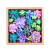 OKTO DIY Wood & Craft Flower Clay Kits: Succulents, Passion