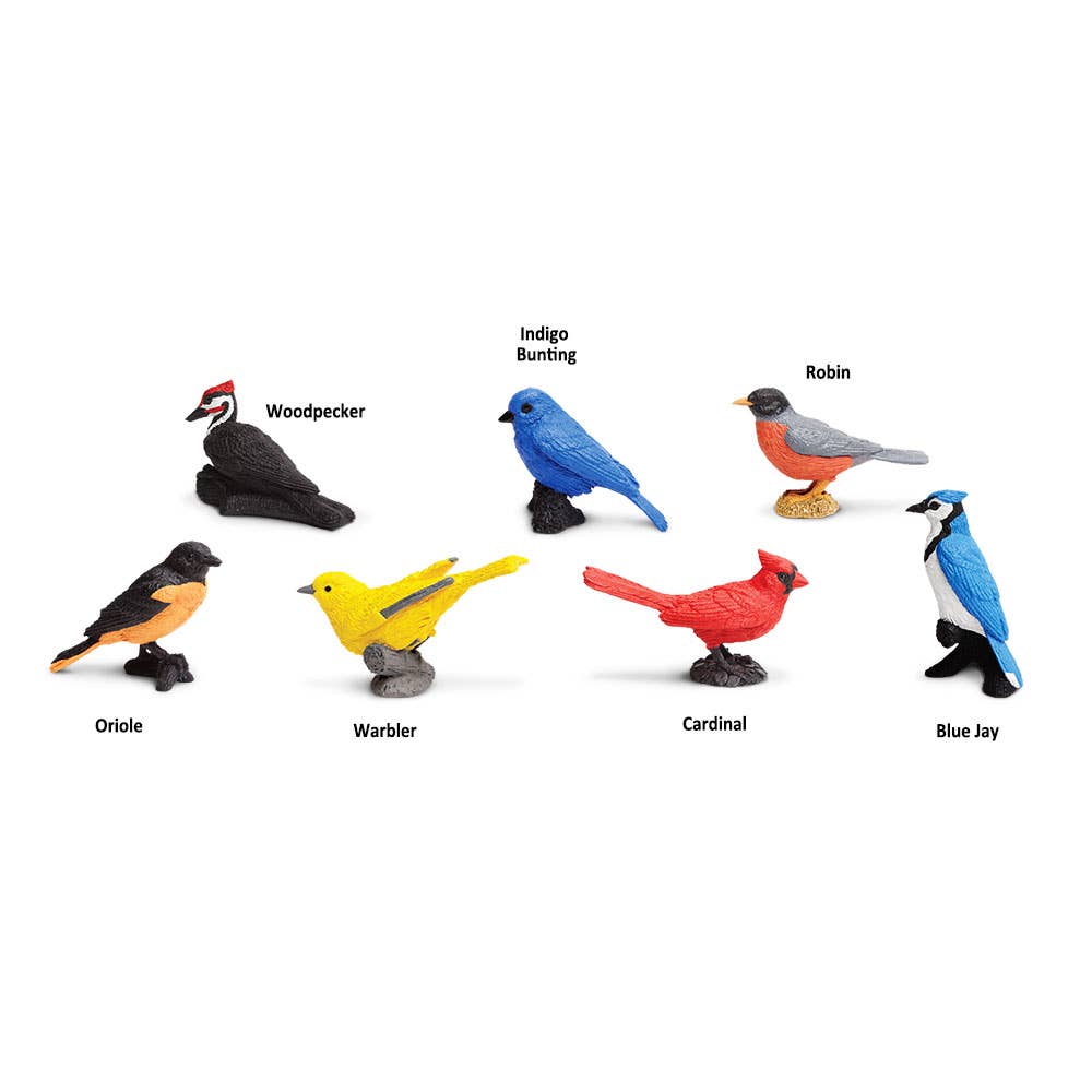 Backyard Birds TOOB - Kids' Figurine Toy