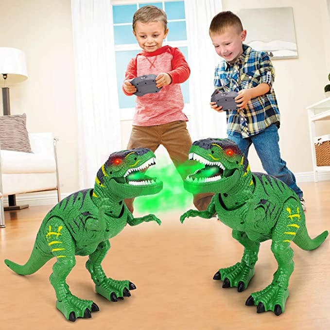 Remote Control Dinosaur Toys: Brown