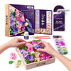 OKTO DIY Wood & Craft Flower Clay Kits: Succulents, Passion