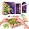 OKTO DIY Wood & Craft Flower Clay Kits: Succulents, Tenderness