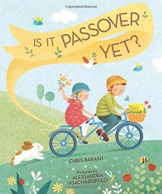 Is It Passover Yet? (Celebrate Jewish Holidays): Hardcover