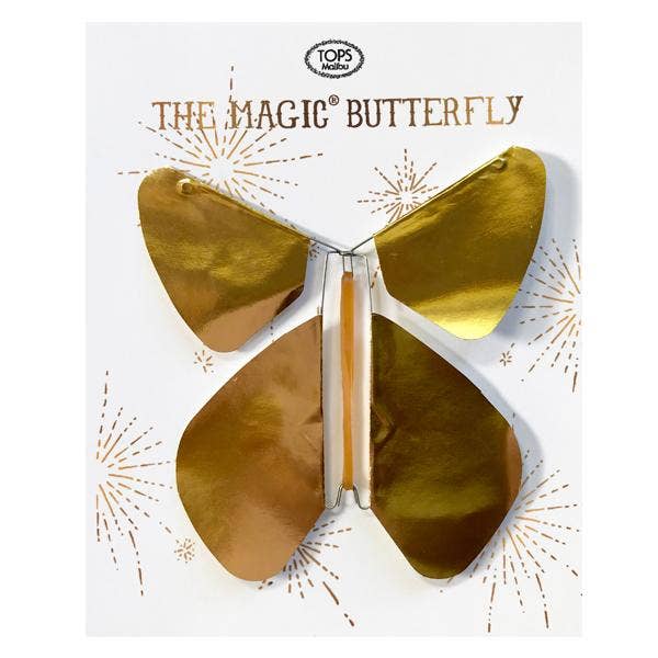 The Magic Butterfly - Einstein's Attic