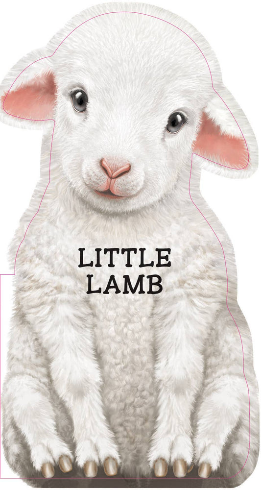 Little Lamb (BB)