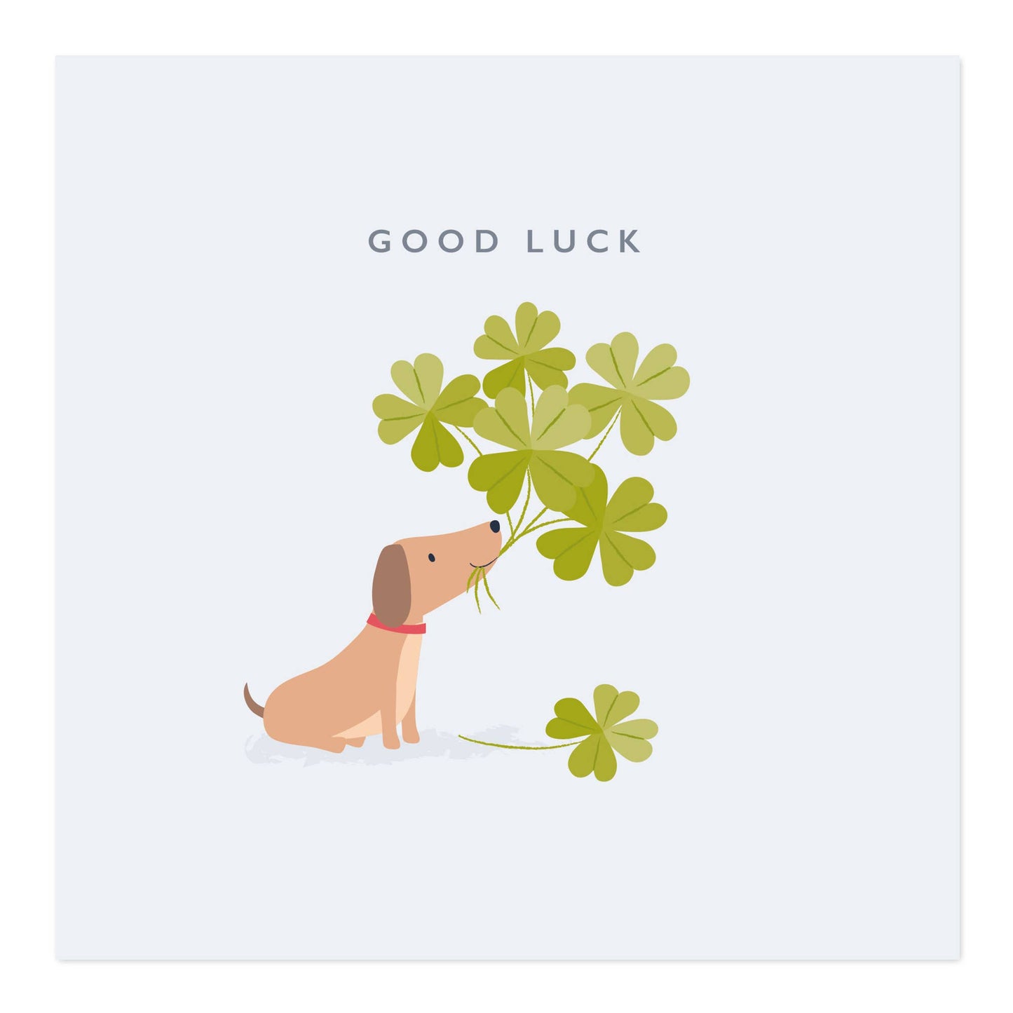 Good Luck Greetings Card | Dog with Four Leaf Clover