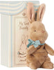 Maileg- My First Bunny in Box- GIRL & BOY - Einstein's Attic