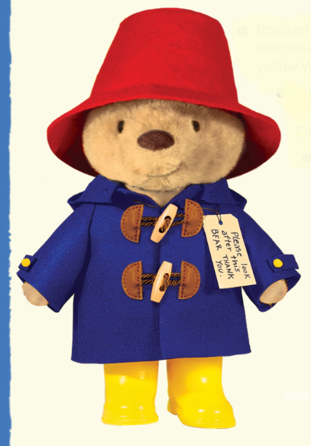Paddington Bear - Einstein's Attic
