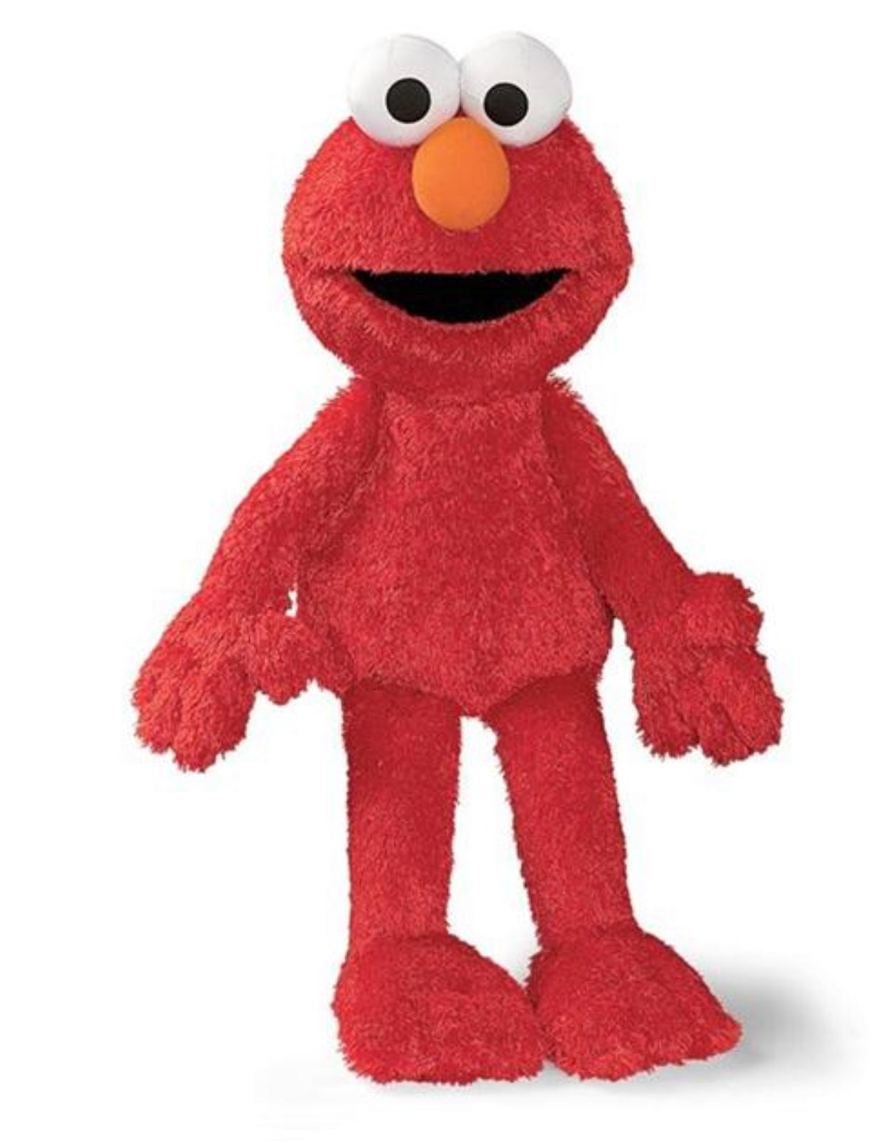 Sesame Street Plush & Puppets - Einstein's Attic